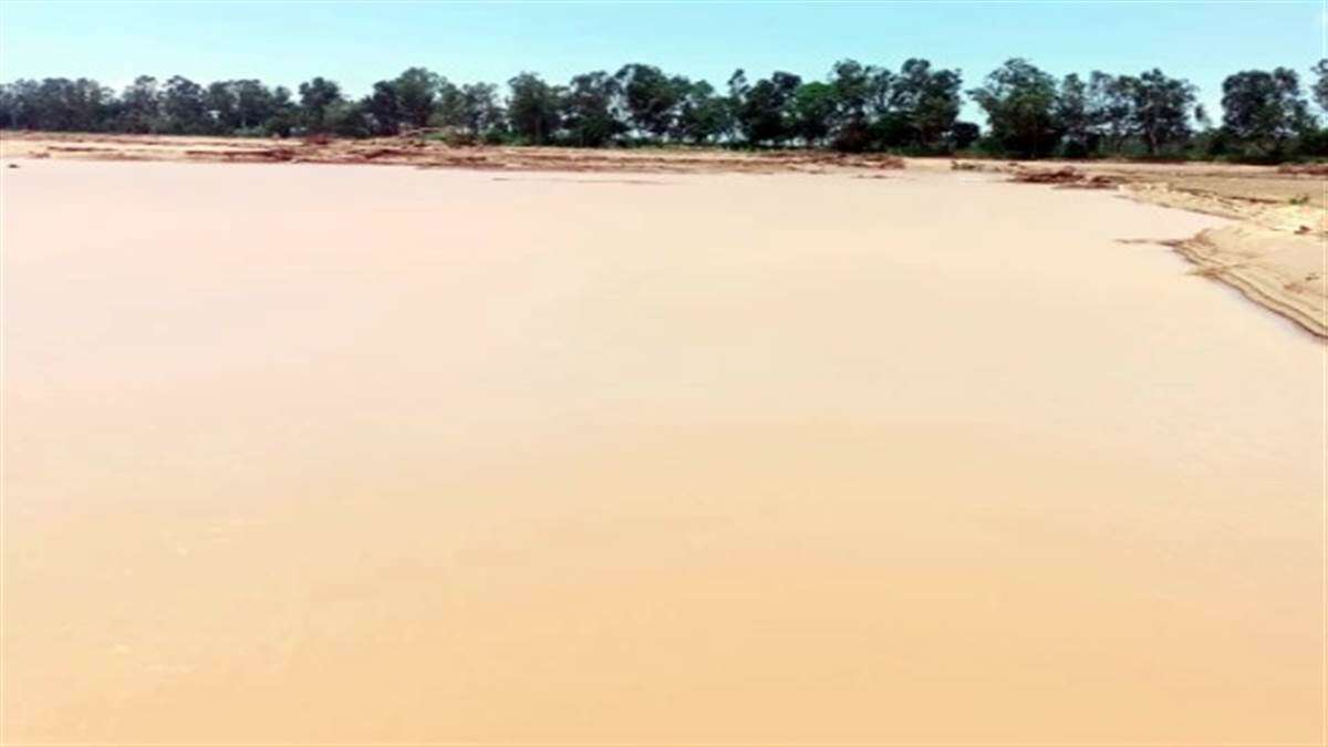 The Punjab government allowed the farmers to remove the sand accumulated in the fields due to floods